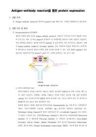 [생명과학실험] Antigen-antibody reaction을 통한 protein expression