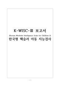 웩슬러아동지능검사 보고서 (K-WISC-3)
