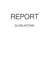 glioma 신경교종 케이스 스터디 간호진단 4개