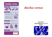 Bacillus cereus 식품미생물
