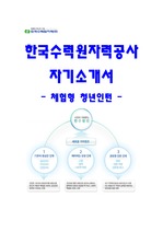 한국수력원자력공사 청년인턴 자기소개서