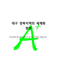[A+ 프리미엄자료레포트][국제사회학]대구 경북지역의 세계화 방안