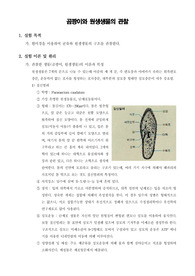 [일반생물학실험] 곰팡이와 원생생물의 관찰