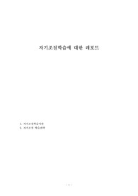 자기조절학습에 대한 레포트