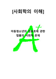 [A+ 프리미엄자료레포트][사회학의이해]아동청소년의 성보호에관 법률의 사회적 문제.hwp