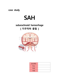 (성인간호학 CASE STUDY) SAH(지주막하출혈) 문헌고찰, 간호과정 A+++ [간호진단 3개]