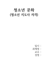 청소년 문화(청소년 전공, 연계전공)