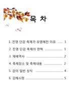 진영단감축제, 김해시청, 진영보고서