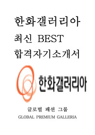 한화갤러리아 인턴 최신 BEST 합격 자기소개서!!!!