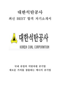 대한석탄공사 인턴 최신 BEST 합격 자기소개서!!!!