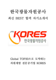 한국광물자원공사 인턴 최신 BEST 합격 자기소개서!!!!