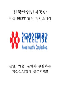 한국산업단지공단 KICOX 일반행정 인턴 최신 BEST 합격 자기소개서!!!!