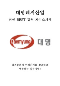 대명레저산업 최신 BEST 합격 자기소개서!!!!