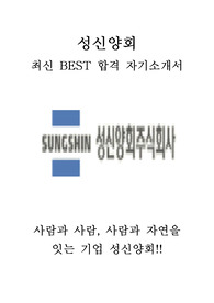 성신양회 재무 최신 BEST 합격 자기소개서!!!!