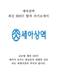 세아상역 영업부문 최신 BEST 합격 자기소개서!!!!