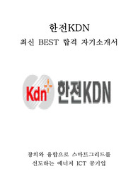 한전KDN 최신 BEST 합격 자기소개서!!!!