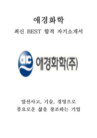 애경화학 최신 BEST 합격 자기소개서!!!!