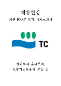 태창철강 최신 BEST 합격 자기소개서!!!!