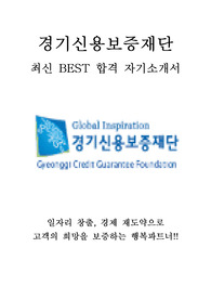 경기신용보증재단 5급 사무직 최신 BEST 합격 자기소개서!!!!