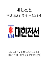 대한전선 인턴 해외영업 최신 BEST 합격 자기소개서!!!!