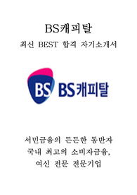BS캐피탈 비에스캐피탈 영업 최신 BEST 합격 자기소개서!!!!