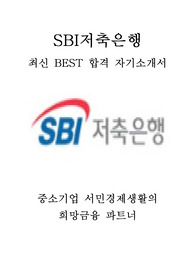 SBI저축은행 최신 BEST 합격 자기소개서!!!!
