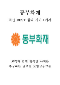 동부화재 인턴 최신 BEST 합격 자기소개서!!!!