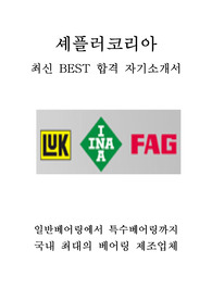 셰플러코리아 인사 최신 BEST 합격 자기소개서!!!!