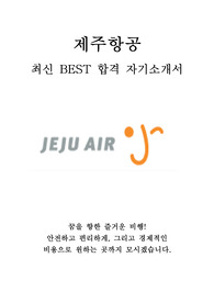 제주항공 영업 마케팅 최신 BEST 합격 자기소개서!!!!