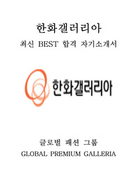 한화갤러리아 인턴 최신 BEST 합격 자기소개서!!!!