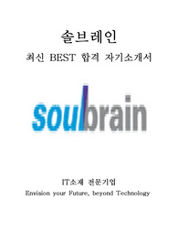 솔브레인 경영지원 재무 회계 최신 BEST 합격 자기소개서!!!!
