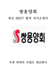 쌍용양회 기술 최신 BEST 합격 자기소개서!!!!