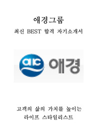 애경그룹 유통부문 인턴 최신 BEST 합격 자기소개서!!!!