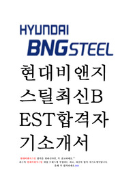 현대비앤지스틸 현대BNG스틸 최신 BEST 합격 자기소개서!!!!