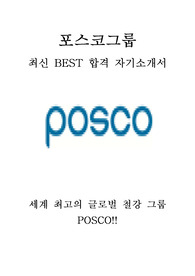 포스코 그룹 POSCO Challenge 인턴십 최신 BEST 합격 자기소개서!!!!