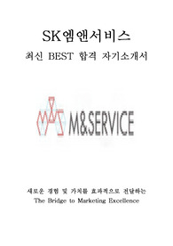 SK 엠앤서비스 개발 최신 BEST 합격 자기소개서!!!!