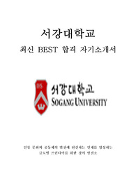 서강대학교 서강대 교직원 최신 BEST 합격 자기소개서!!!!