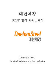 대한제강 최신 BEST 합격 자기소개서!!!!