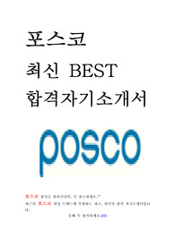 포스코 POSCO 최신 BEST 합격 자기소개서!!!