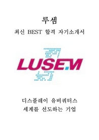 루셈 개발 최신 BEST 합격 자기소개서!!!!