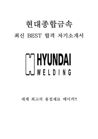 현대종합금속 영업 BEST 합격 자기소개서!!!!