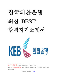 한국외환은행 KEB 최신 BEST 합격 자기소개서!!!!