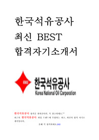 한국석유공사 KNOC 고졸 인턴 최신 BEST 합격 자기소개서!!!!