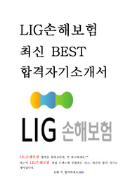 LIG손해보험 대졸 인턴 최신 BEST 합격 자기소개서!!!!