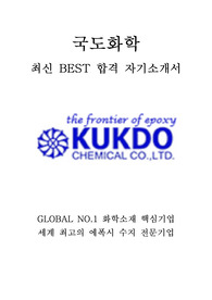 국도화학 영업 최신 BEST 합격 자기소개서!!!!
