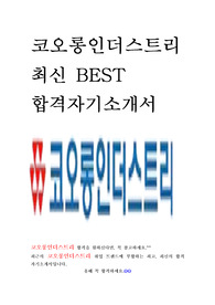 코오롱인더스트리 FnC부문 인턴 최신 BEST 합격 자기소개서!!!!