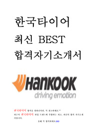 한국타이어 인턴 최신 BEST 합격 자기소개서!!!!