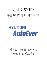현대오토에버 영업 최신 BEST 합격 자기소개서!!!!