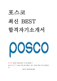 포스코 POSCO 열정전형 Challenge 인턴십 최신 BEST 합격 자기소개서!!!!