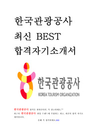 한국관광공사 인턴 최신 BEST 합격 자기소개서!!!!